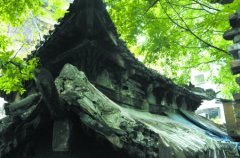 市民呼吁保护700年重庆东华观藏经楼