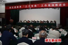 远安县召开湖北道教界“三个专项”工作现场推进会