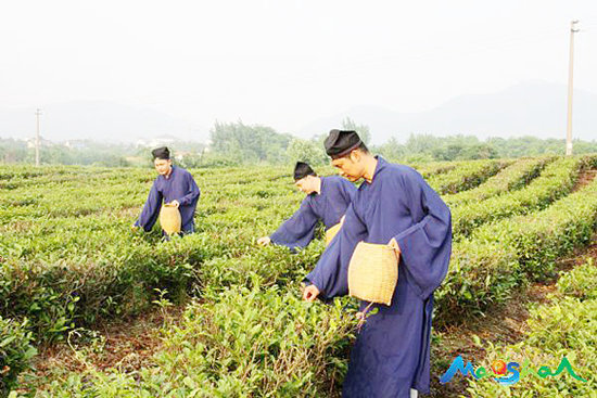 神仙也贵茶：道教与茶文化