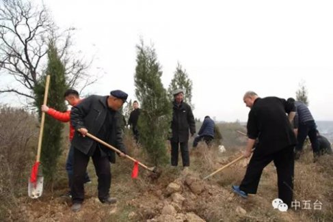 陕西省咸阳市道协在正阳宫举行植树活动