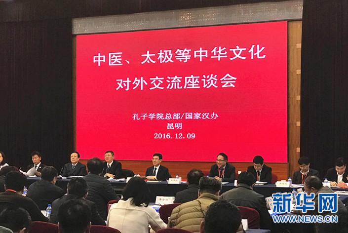 中医和太极等中华文化对外交流座谈会举行