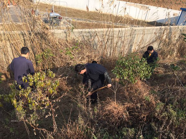 江苏镇江市润州道院积极开展环境绿化工程