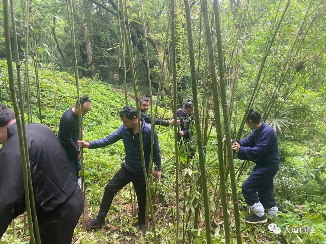 武汉大道观举行“热爱东湖 保护东湖”植树造林活动