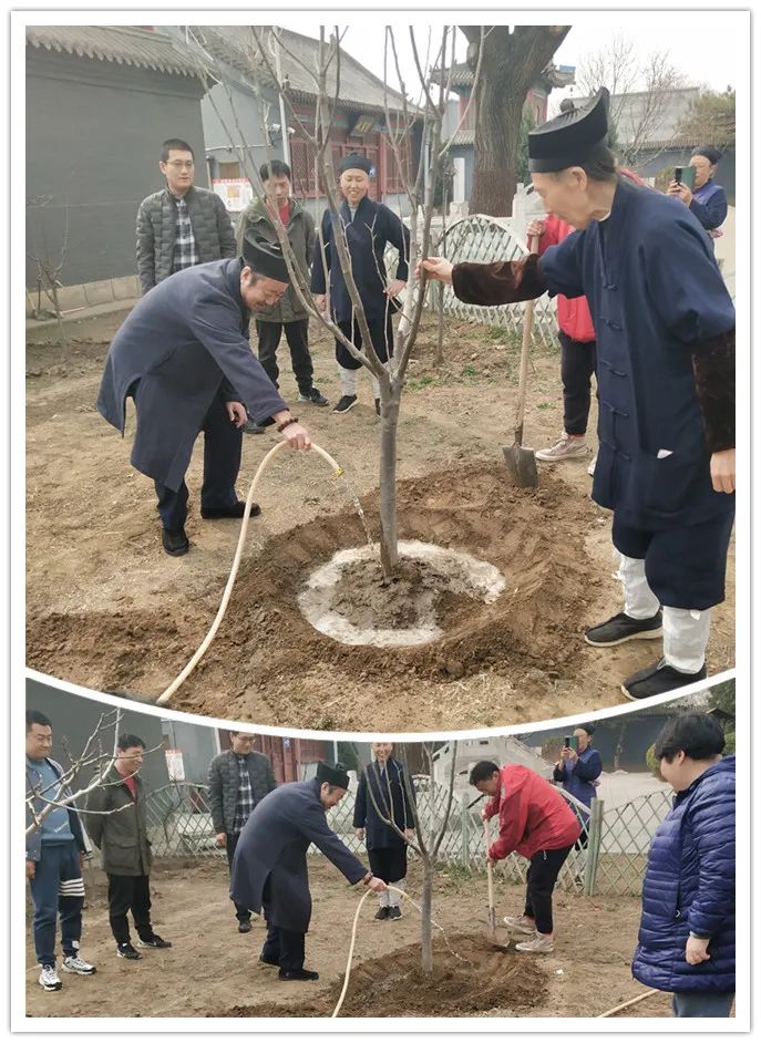 北京市道教协会秘书处赴佑民观学习美丽宫观建设经验并开展植树活动